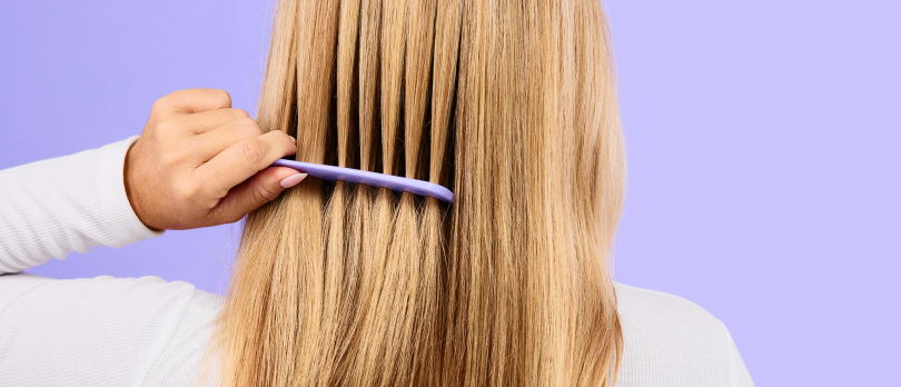 repair dryness in your hair